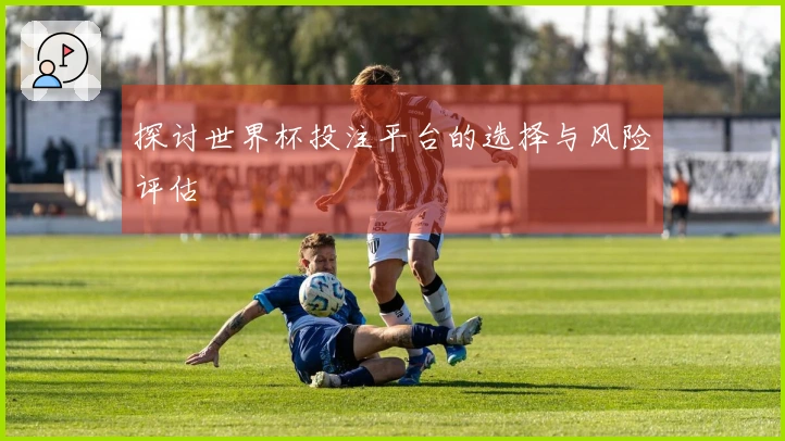 探讨世界杯投注平台的选择与风险评估