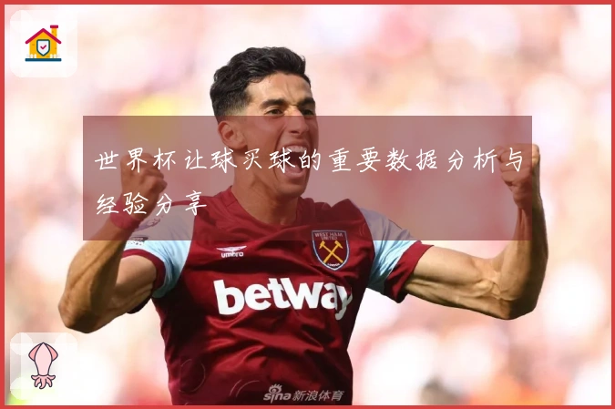 世界杯让球买球的重要数据分析与经验分享