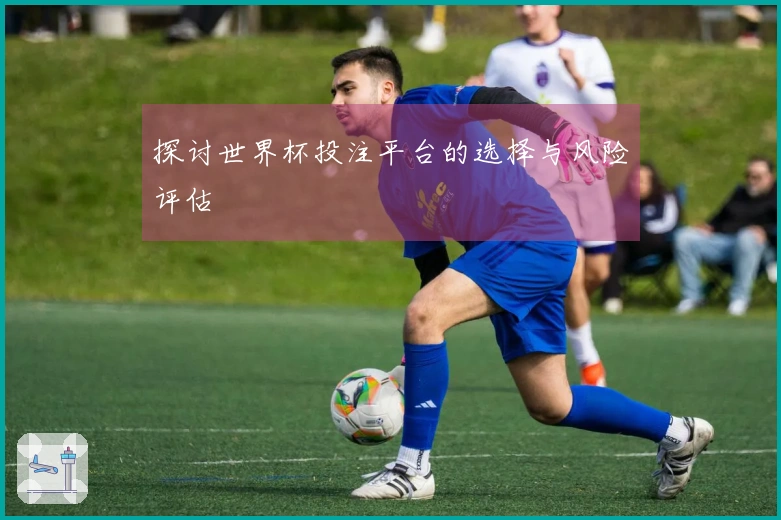 探讨世界杯投注平台的选择与风险评估