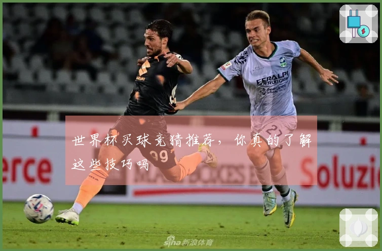 世界杯买球竞猜推荐，你真的了解这些技巧吗